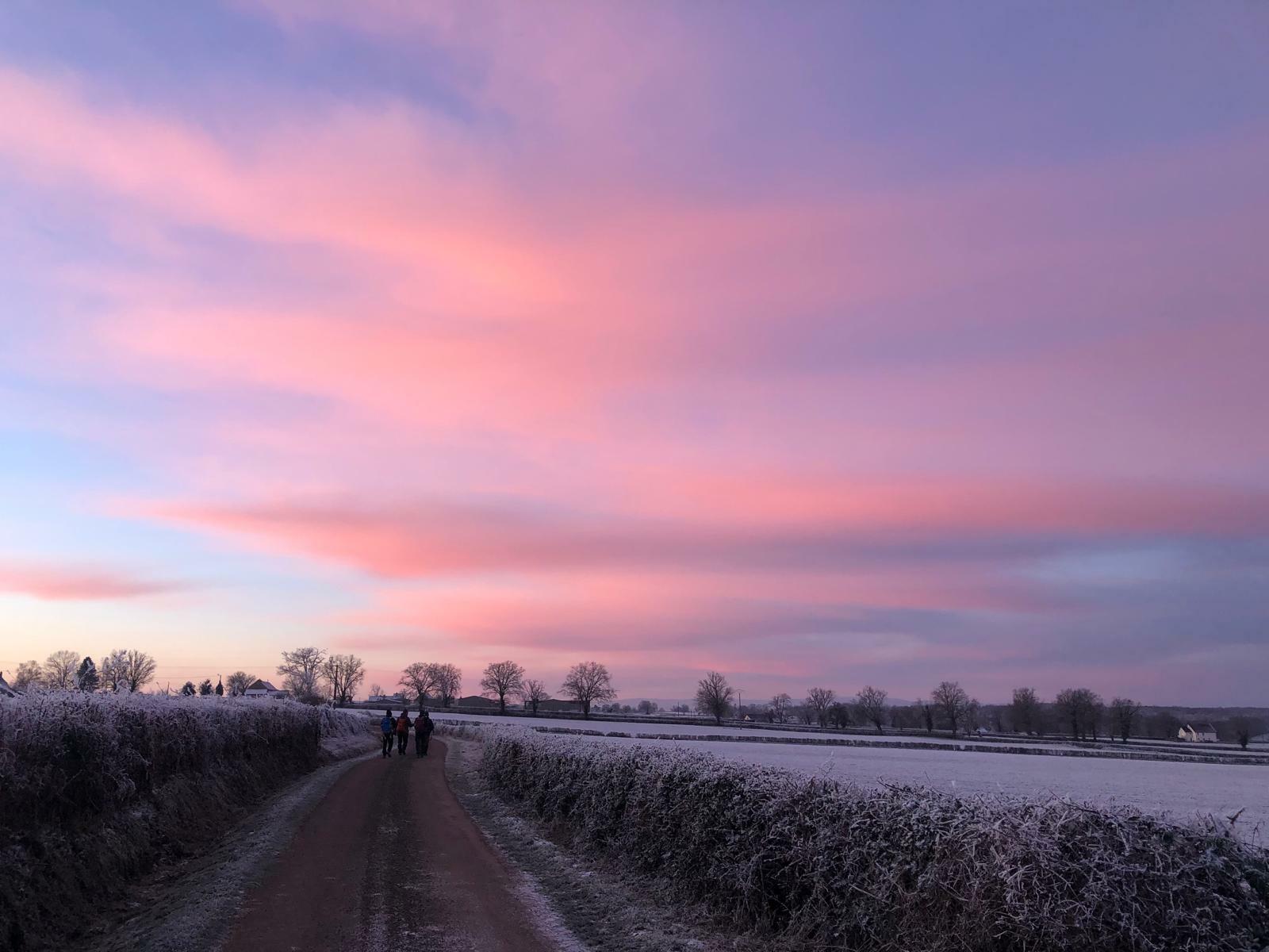 JEUDI 29 JANVIER 2026 : POISSON