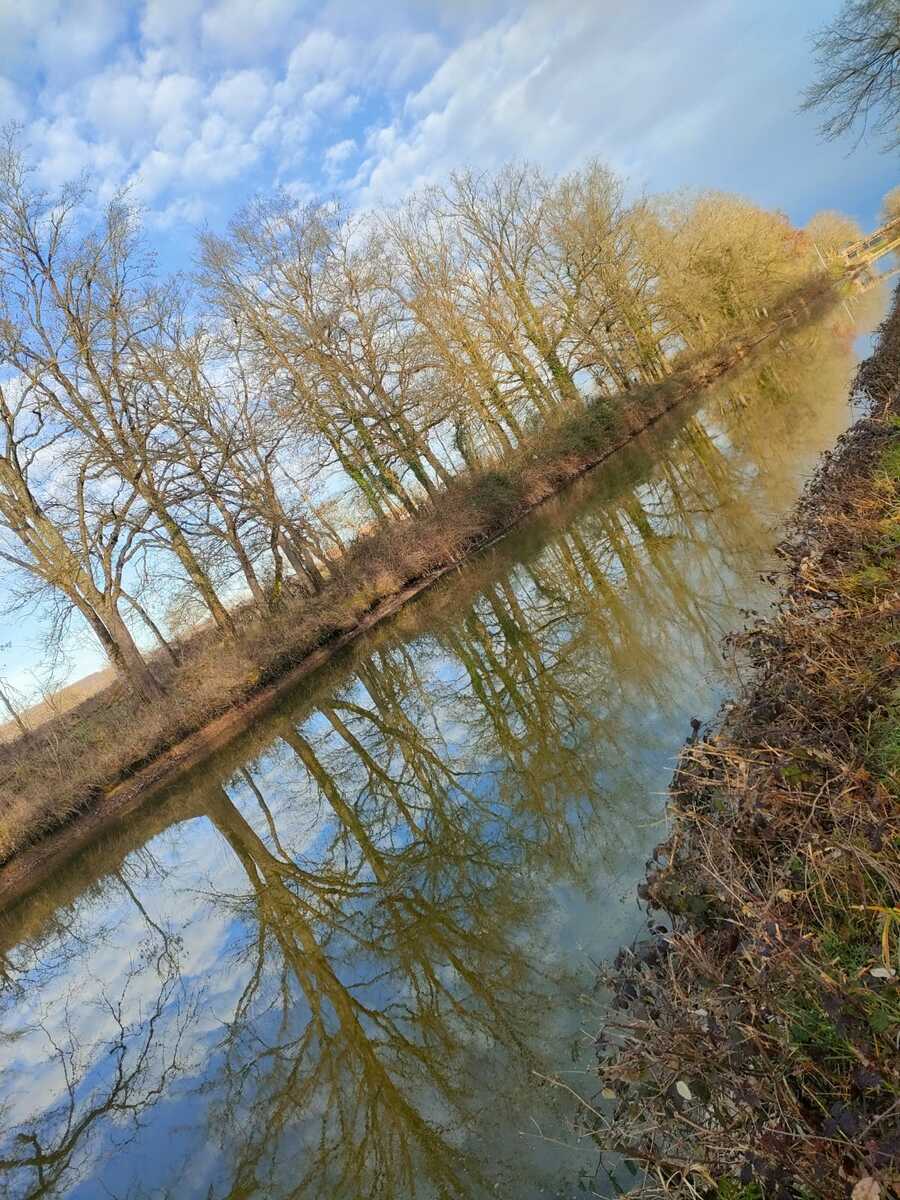 JEUDI 26 FEVRIER : ST LEGER SUR VOUZANCE