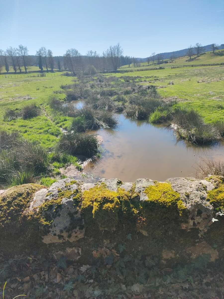 JEUDI 16 AVRIL : OZOLLES