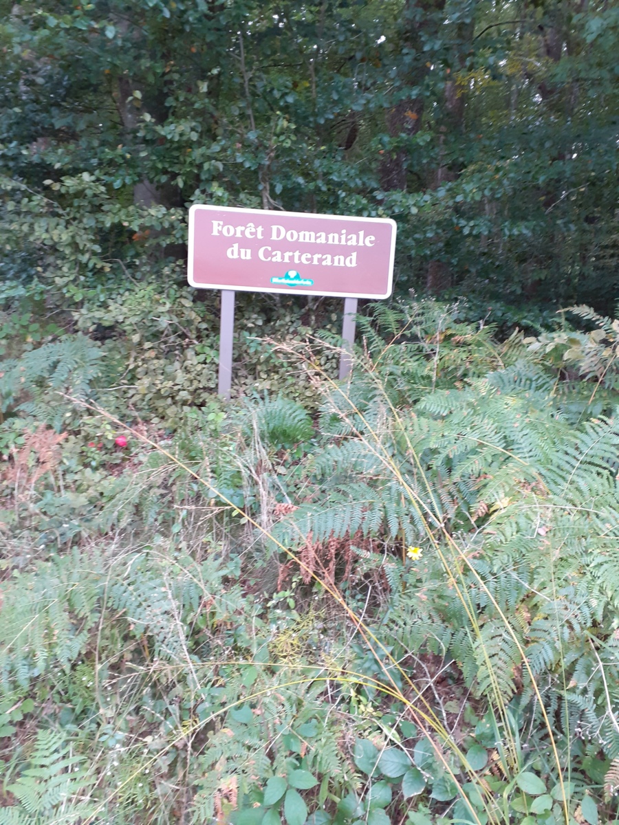RANDO SANTE DIGOIN VAL DE LOIRE     ANNULEE