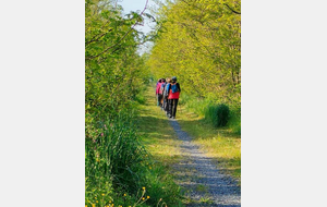 MARCHE NORDIQUE / PLAINCHASSAGNE - FORET D'AVAISE