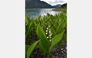 RANDO SANTE GUEUGNON VAL D'ARROUX