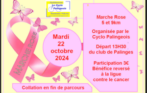 MARCHE A PALINGES DANS LE CADRE D'OCTOBRE ROSE