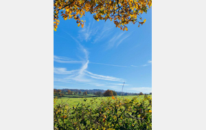 JEUDI 13 NOVEMBRE 2025 : AMANZE