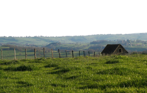 JEUDI 22 JANVIER 2026 : PRIZY