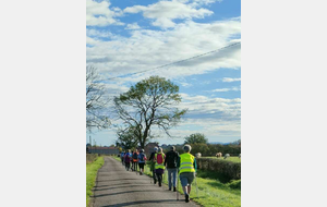 MARCHE NORDIQUE / MOULIN LIRON ET NOCHIZE