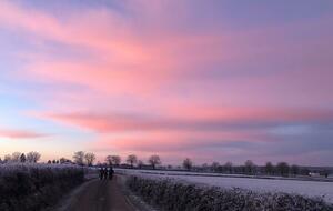 JEUDI 29 JANVIER 2026 : POISSON