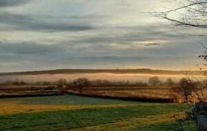 JEUDI 5 FEVRIER : RIGNY SUR ARROUX