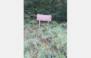 RANDO SANTE DIGOIN VAL DE LOIRE     ANNULEE